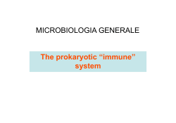 Prokaryotic immune system.pptx