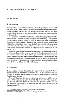 Ectomycorrhizae in the tropics