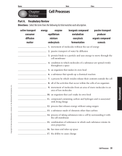 Chapter 4 Resource: Cell Processes
