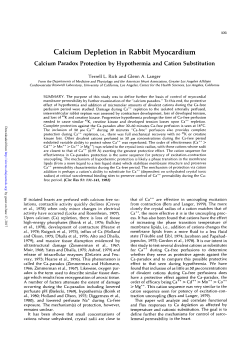 Calcium Depletion in Rabbit Myocardium