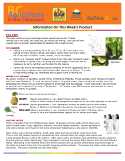 celery - Agriculture in Classroom Canada