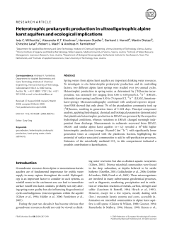 Heterotrophic prokaryotic production in ultraoligotrophic