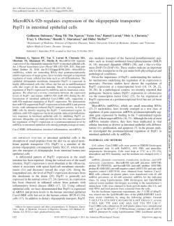 MicroRNA-92b regulates expression of the oligopeptide transporter