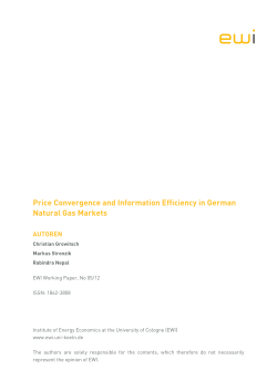 Price Convergence and Information Efficiency in German Natural