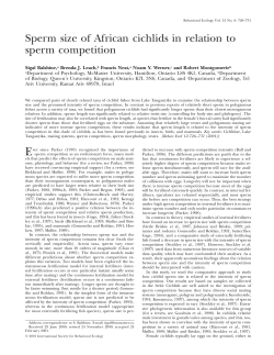Sperm size of African cichlids in relation to sperm competition