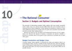 The Rational Consumer Section 2
