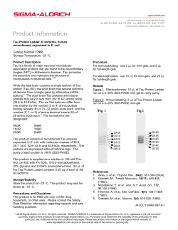 Tau Protein Ladder, 6 isoforms, human (T7951)