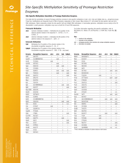 Site-Specific Methylation Sensitivity of Promega Restriction Enzymes