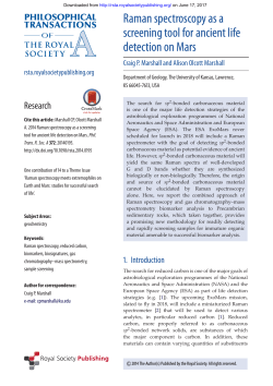 Raman spectroscopy as a screening tool for ancient life detection on