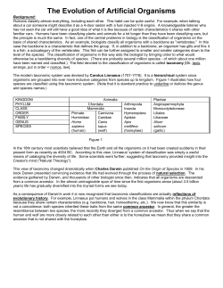 The Evolution of Artificial Organisms.caminalcules 2016