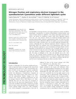 Nitrogen fixation and respiratory electron transport in the