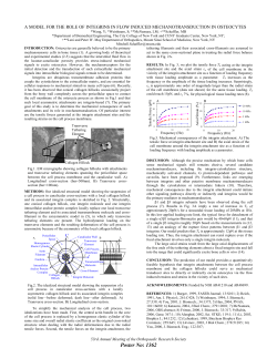 Poster No: 1362 - Orthopaedic Research Society