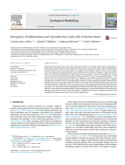 Energetics of hibernation and reproductive trade