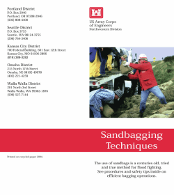 Sandbagging Techniques