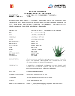 Aloe Vera Freeze Dried Powder 50:1 Extract is a concentrated form