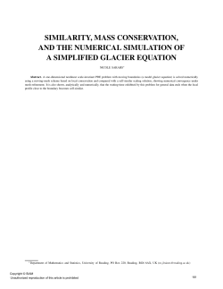 similarity, mass conservation, and the numerical simulation of a