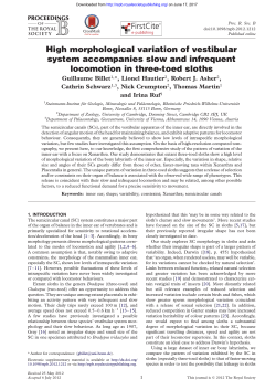 High morphological variation of vestibular system accompanies slow