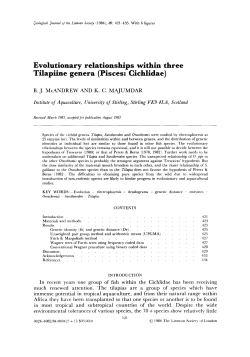 Evolutionary relationships within three Tilapiine genera (Pisces