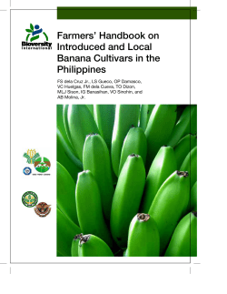 Farmers` Handbook on Introduced and Local Banana Cultivars in