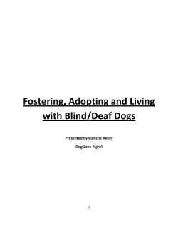 Fostering, Adopting and Living with Blind/Deaf Dogs