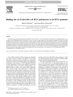 Binding site of Escherichia coli RNA polymerase to an RNA promoter