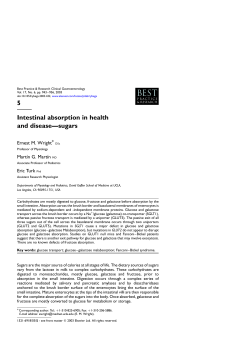 5 Intestinal absorption in health and disease&mdash;sugars