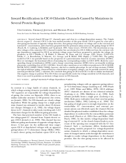 Inward Rectification in ClC-0 Chloride Channels Caused by