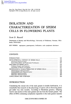 isolation and characterization of sperm cells in flowering plants
