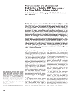 Characterization and Chromosomal Distribution of Satellite DNA