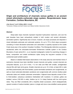 Origin and architecture of channels versus gullies