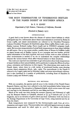the body temperature of tenebrionid beetles in the namib desert of