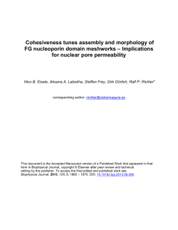 here. - CIC biomaGUNE