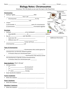 Biology Notes: Chromosomes