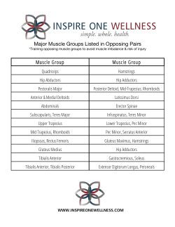 Major Muscle Groups Listed in Opposing Pairs Muscle Group