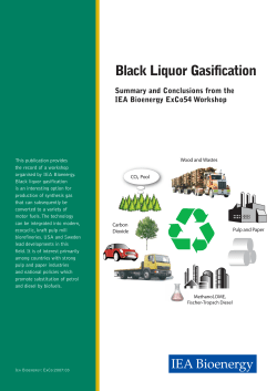 Black Liquor Gasification