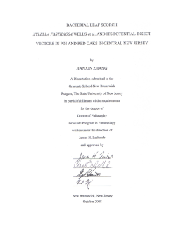 PDF-1 - RUcore - Rutgers University