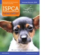 newsletter