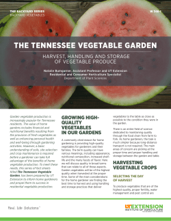 Backyard Vegetables: The Tennessee Vegetable Garden
