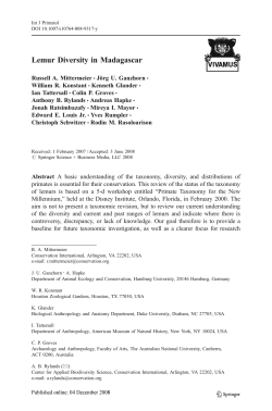 Lemur Diversity in Madagascar