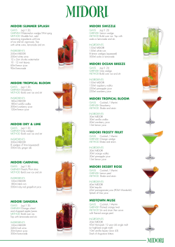 MIDORI SUMMER SPLASH MIDORI SWIZZLE