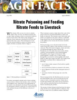 Nitrate Poisoning and Feeding Nitrate Feeds to Livestock