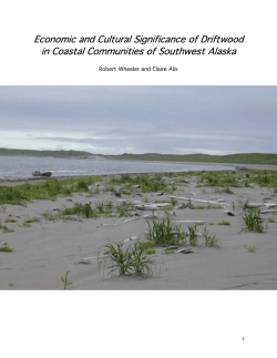 Economic and Cultural Significance of Driftwood