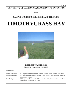 timothygrass hay