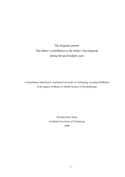 The forgotten parent: The father`s contribution to the