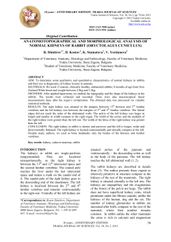 anatomotopographical and morphological analysis of normal