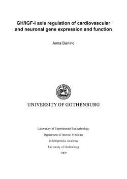 GH/IGF-I axis regulation of cardiovascular and neuronal