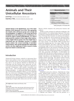 "Animals and Their Unicellular Ancestors". In: Encyclopedia of Life