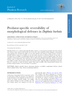 Predator-specific reversibility of morphological defenses in Daphnia