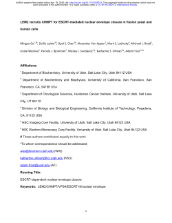 LEM2 recruits CHMP7 for ESCRT-mediated nuclear envelope