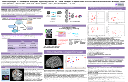 Preliminary Analysis of Contralesional Hemisphere Hippocampal